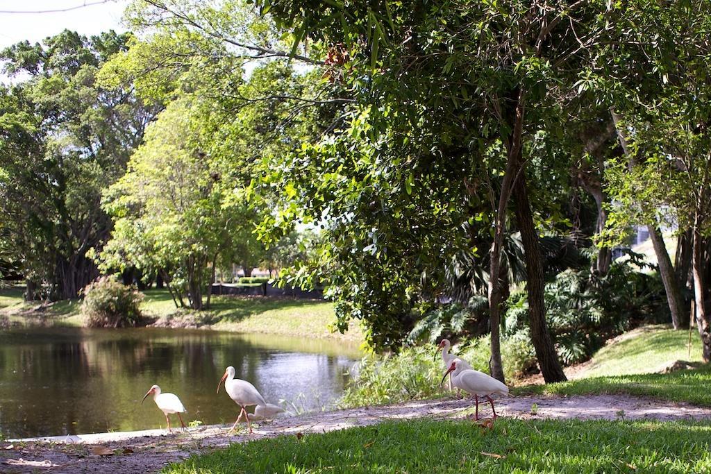 Club Wyndham Palm-Aire Otel Pompano Beach Dış mekan fotoğraf